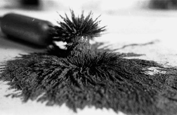 07filingsBoom01