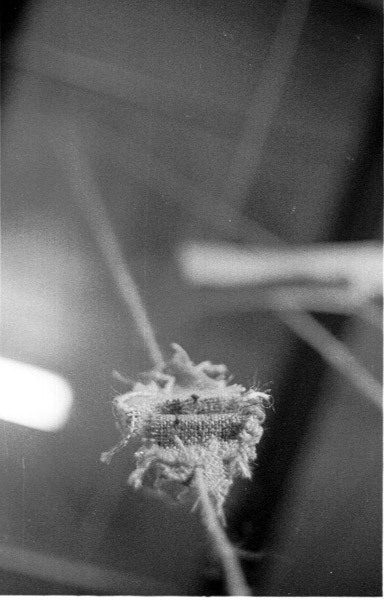 12magnetsSuspended02